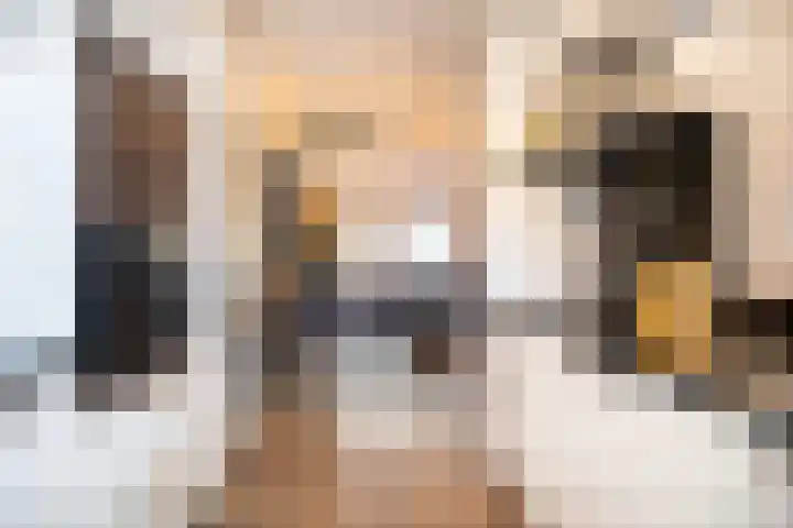 Brederode 51 Duiven thumbnail 18