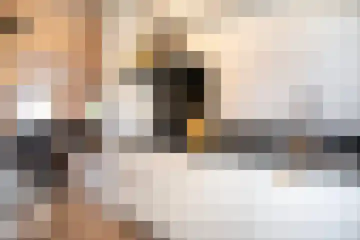 Brederode 51 Duiven thumbnail 19