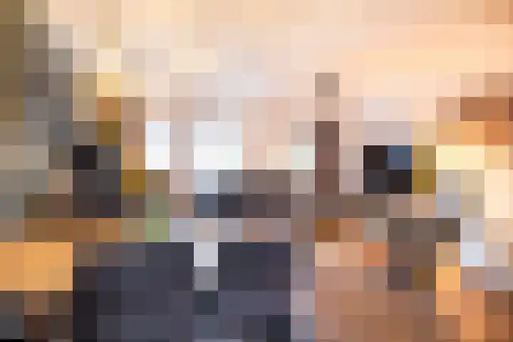 Brederode 51 Duiven thumbnail 20