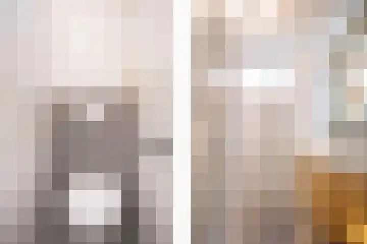 Brederode 51 Duiven thumbnail 27