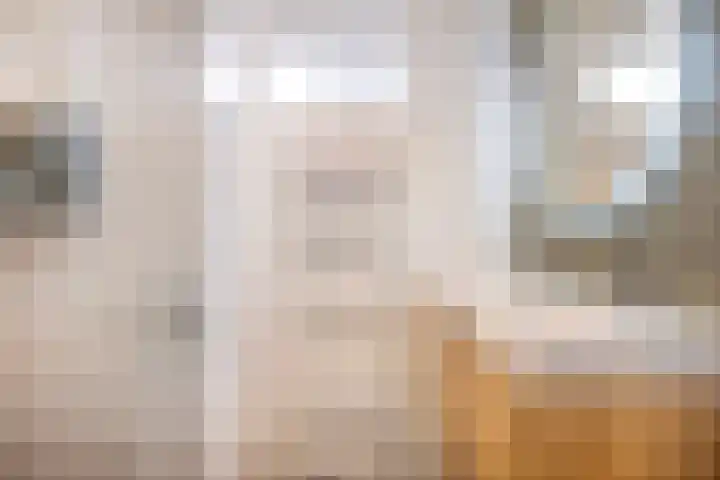 Brederode 51 Duiven foto 3