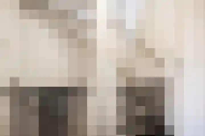 Brederode 51 Duiven thumbnail 35