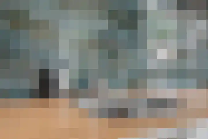 Brederode 51 Duiven thumbnail 37