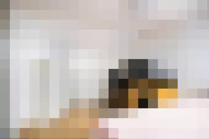 Brederode 51 Duiven thumbnail 39