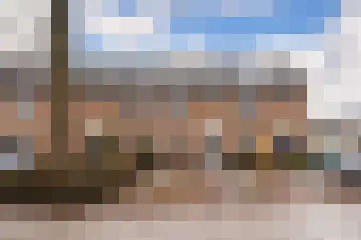 Brederode 51 Duiven thumbnail 48