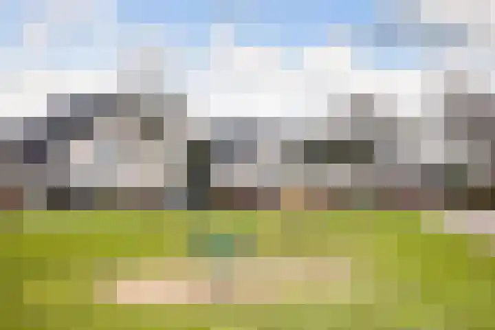 Brederode 51 Duiven thumbnail 50