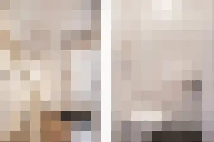 Brederode 51 Duiven thumbnail 6