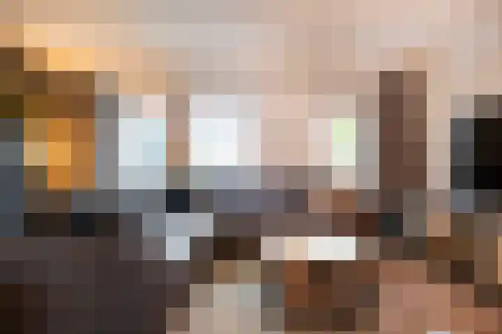 Brederode 51 Duiven thumbnail 9