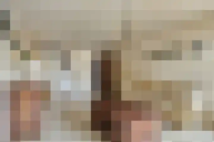 Brederode 8 Dodewaard thumbnail 10