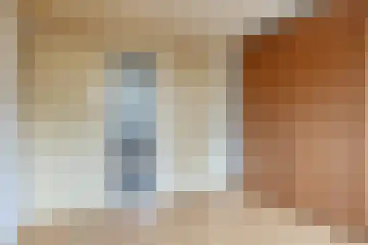 Brederode 8 Dodewaard thumbnail 12
