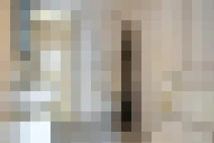 Brederode 8 Dodewaard thumbnail 13