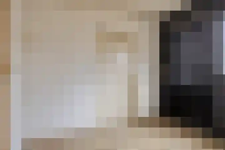 Brederode 8 Dodewaard thumbnail 15