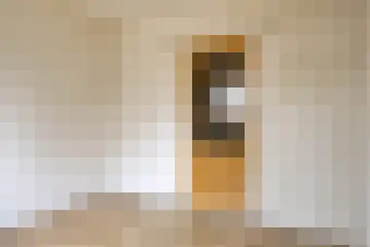 Brederode 8 Dodewaard thumbnail 16