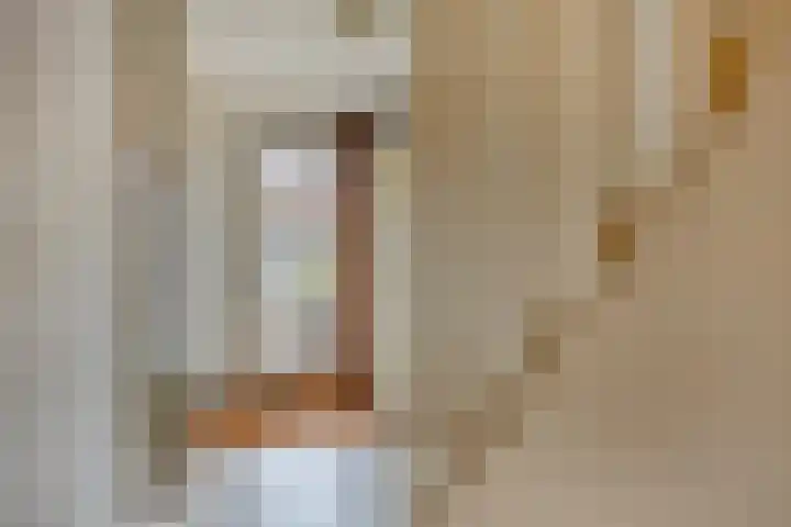 Brederode 8 Dodewaard thumbnail 17