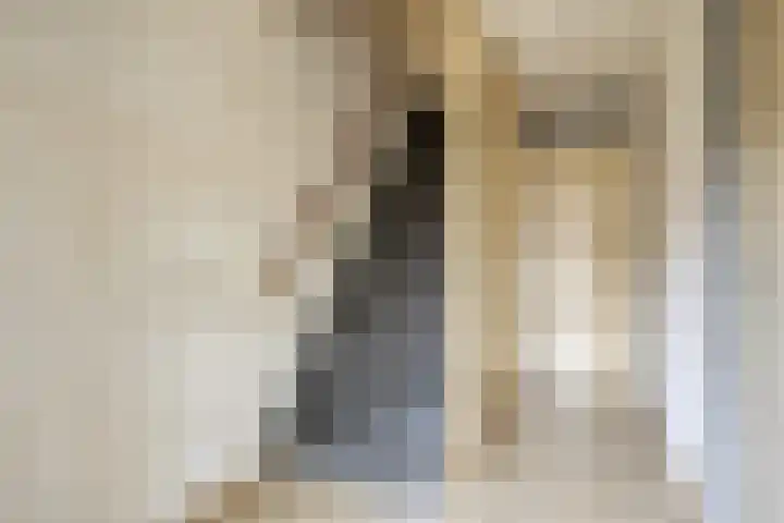 Brederode 8 Dodewaard thumbnail 18