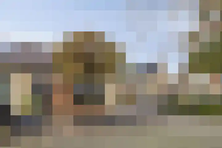 Brederode 8 Dodewaard thumbnail 23
