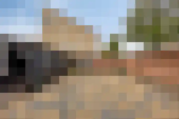 Brederode 8 Dodewaard thumbnail 28