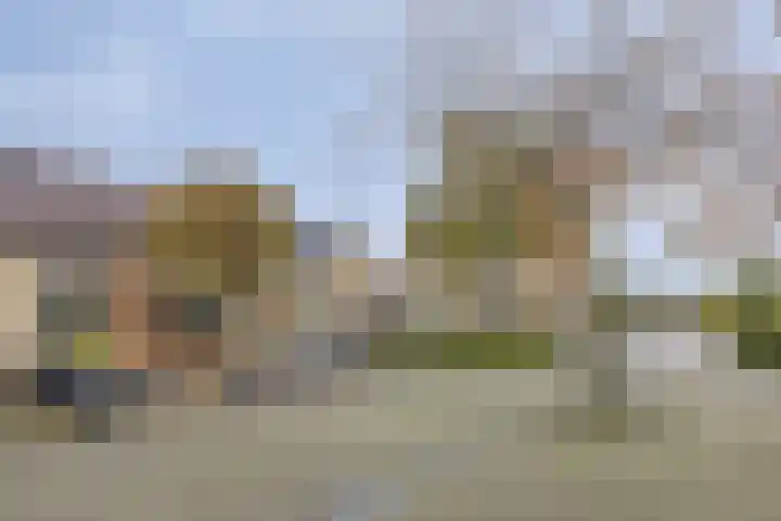 Brederode 8 Dodewaard thumbnail 30