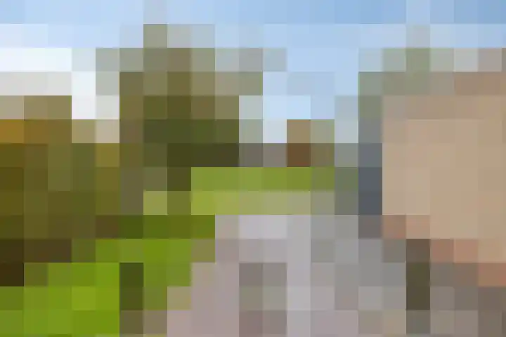 Brederode 8 Dodewaard thumbnail 31
