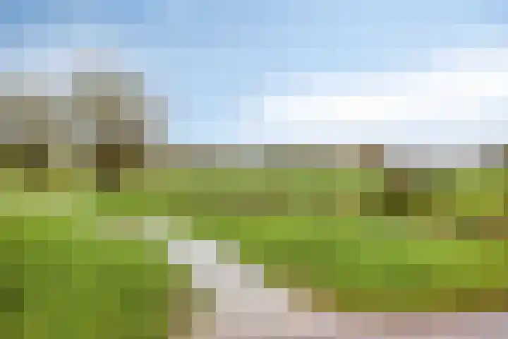Brederode 8 Dodewaard thumbnail 32