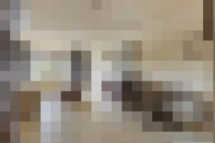 Brederode 8 Dodewaard thumbnail 4