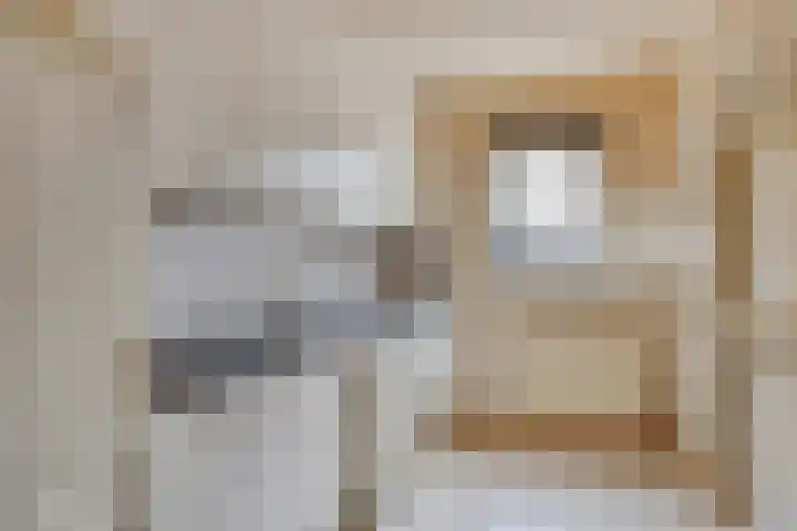 Brederode 8 Dodewaard thumbnail 7