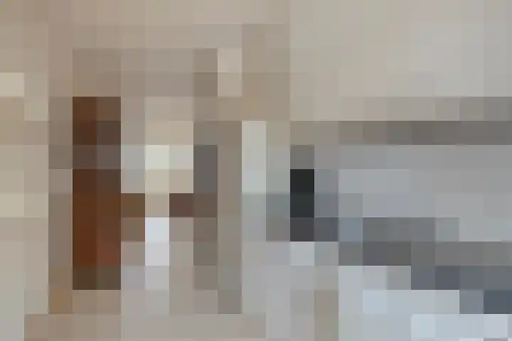Brederode 8 Dodewaard thumbnail 8