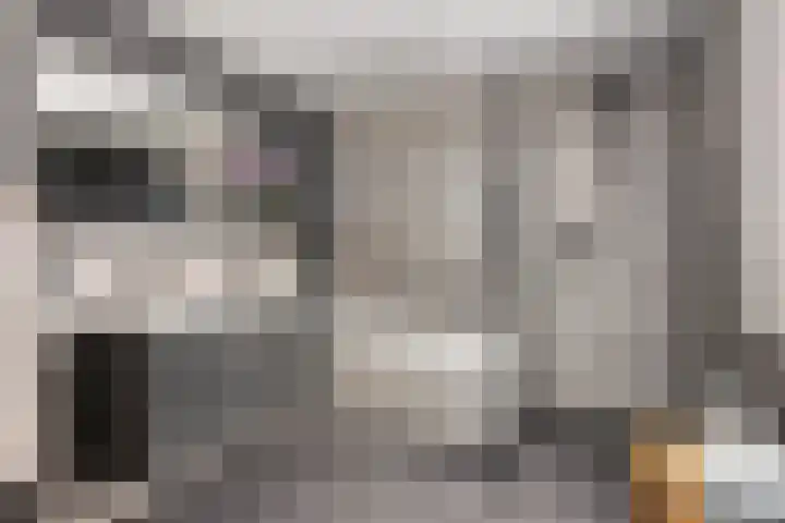 Brederode 88 Lelystad thumbnail 25