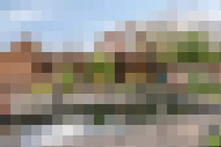 Brederode 88 Lelystad thumbnail 41
