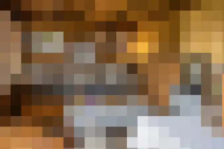 Brederode 88 Lelystad thumbnail 43