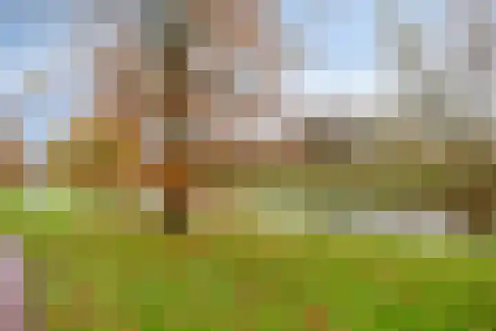Brederode 88 Lelystad thumbnail 53