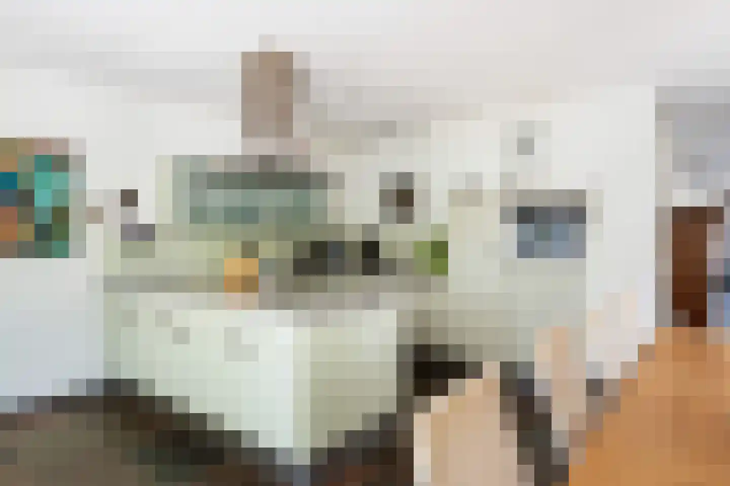 Brederode 90 Lelystad thumbnail 15