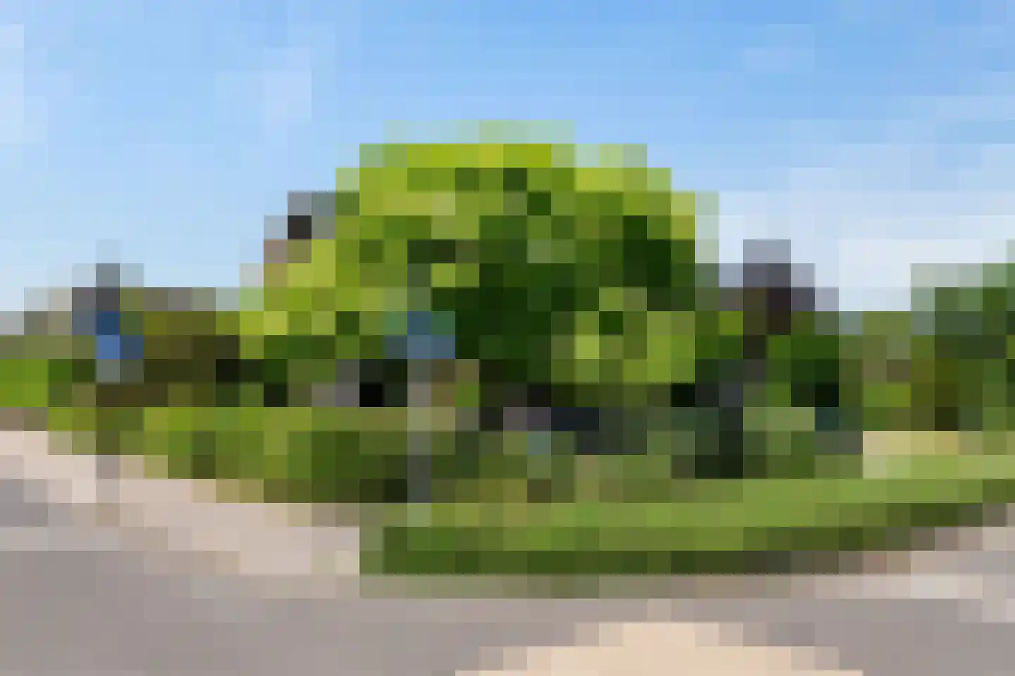 Brederode 90 Lelystad thumbnail 56