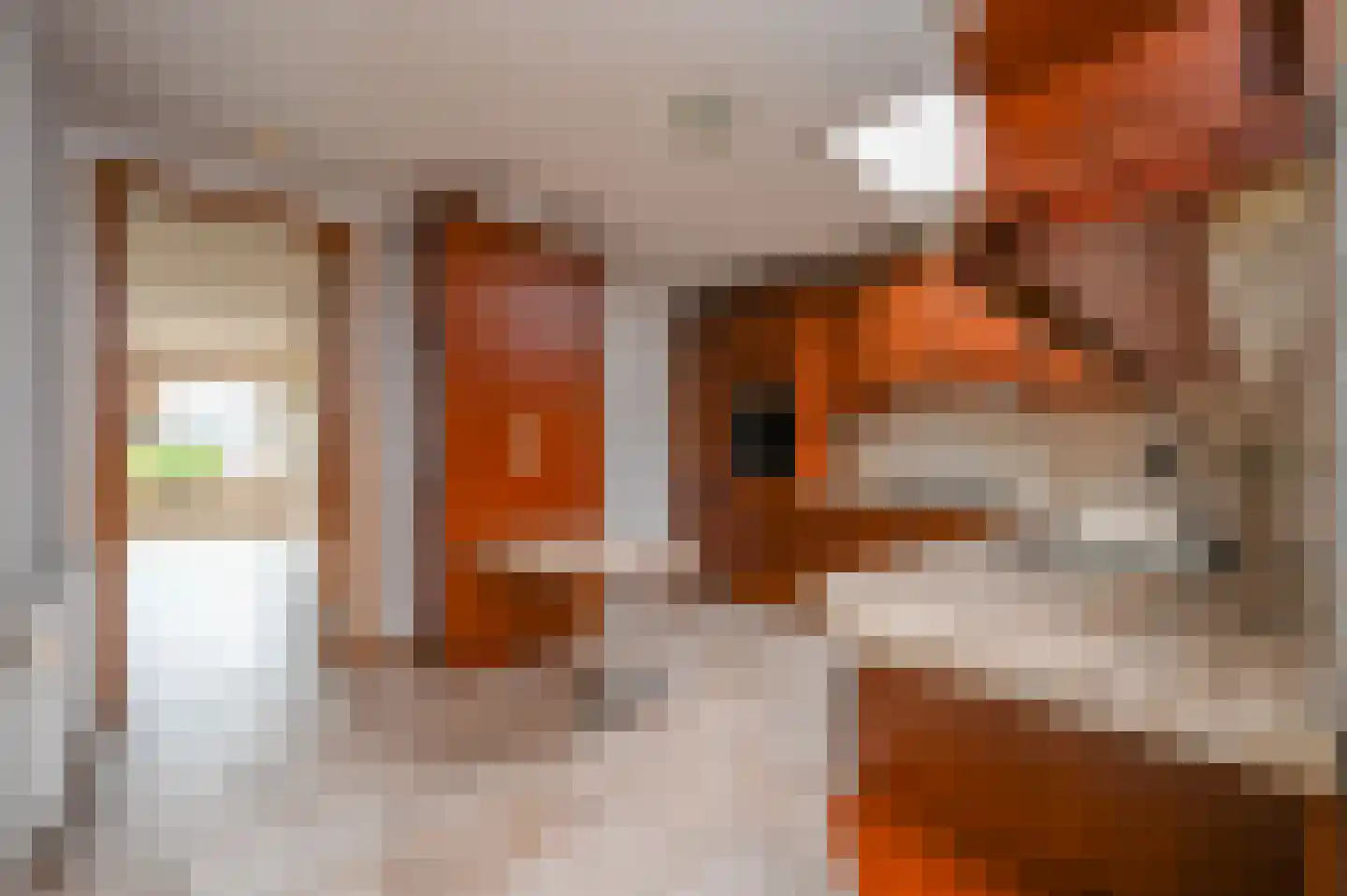Brederode 94 Leidschendam thumbnail 15