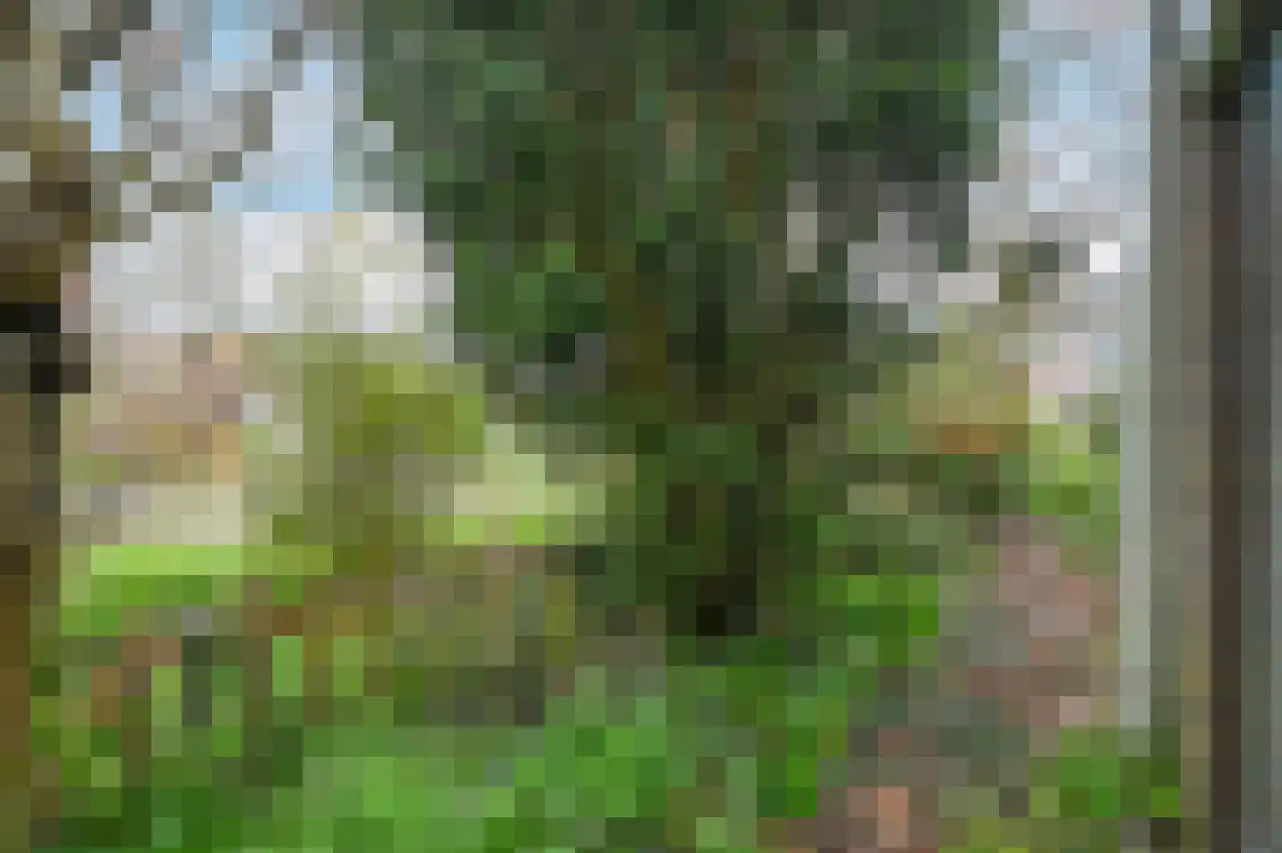 Brederode 94 Leidschendam thumbnail 24