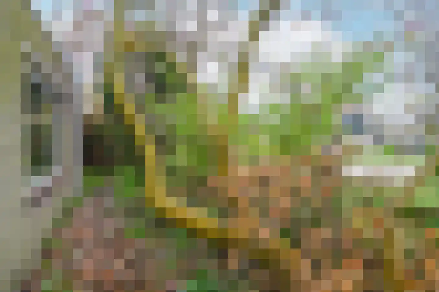 Brederode 94 Leidschendam thumbnail 25