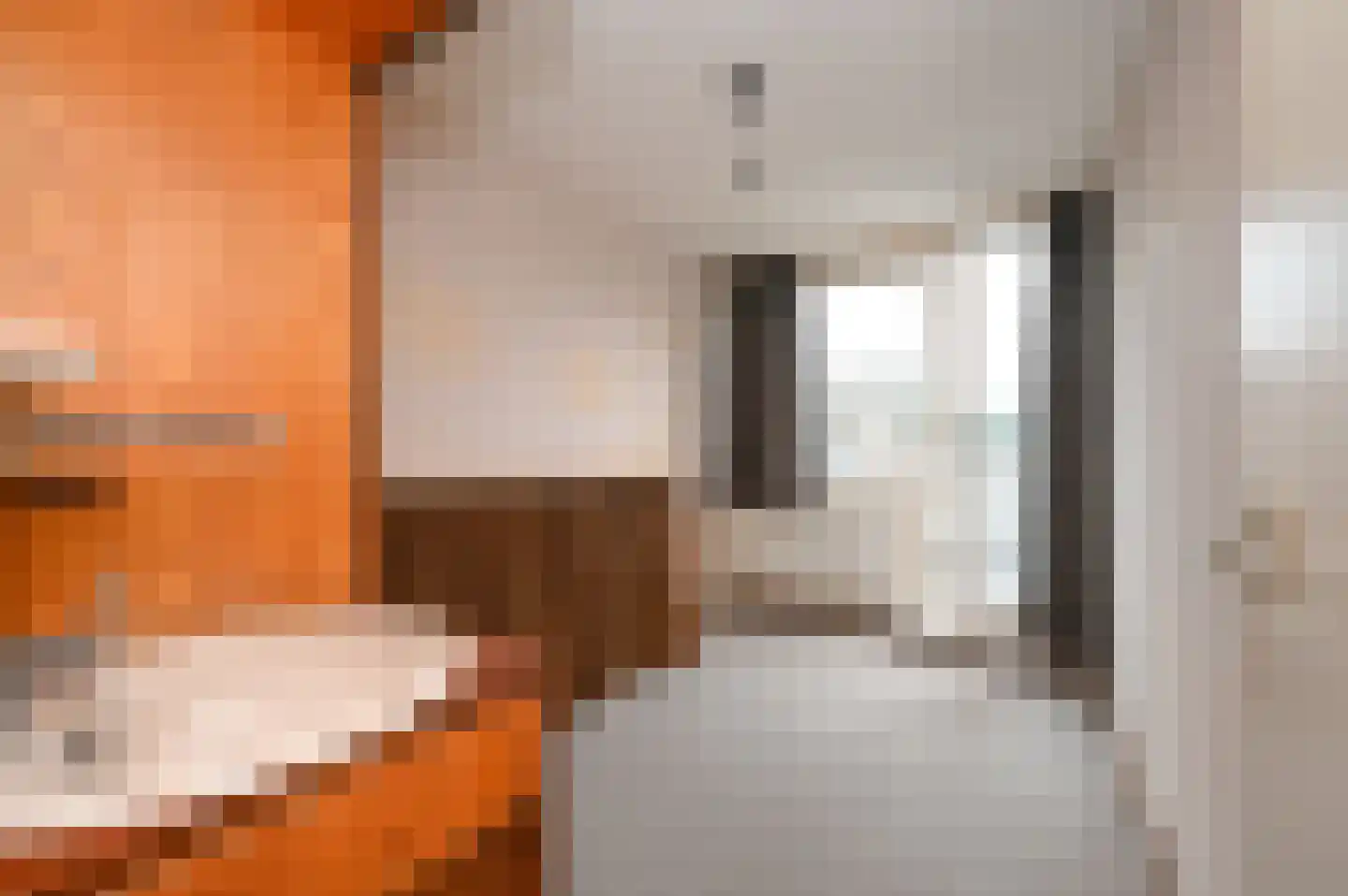 Brederode 94 Leidschendam thumbnail 33