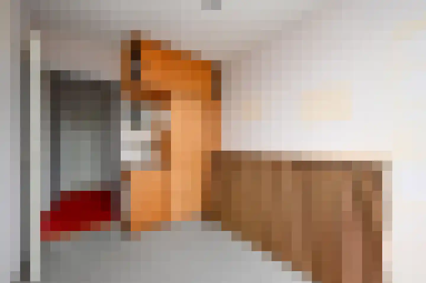 Brederode 94 Leidschendam thumbnail 35