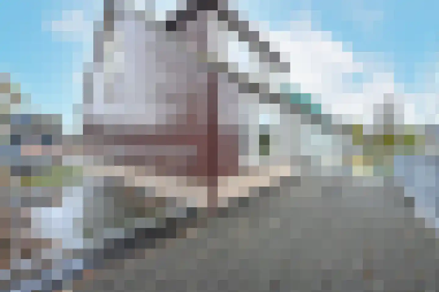 Brederode 94 Leidschendam thumbnail 37