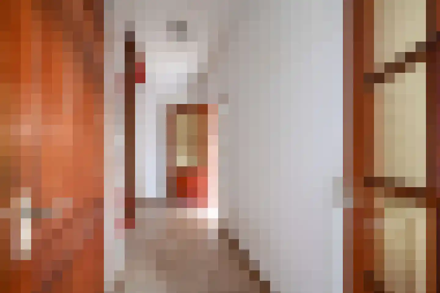 Brederode 94 Leidschendam thumbnail 6