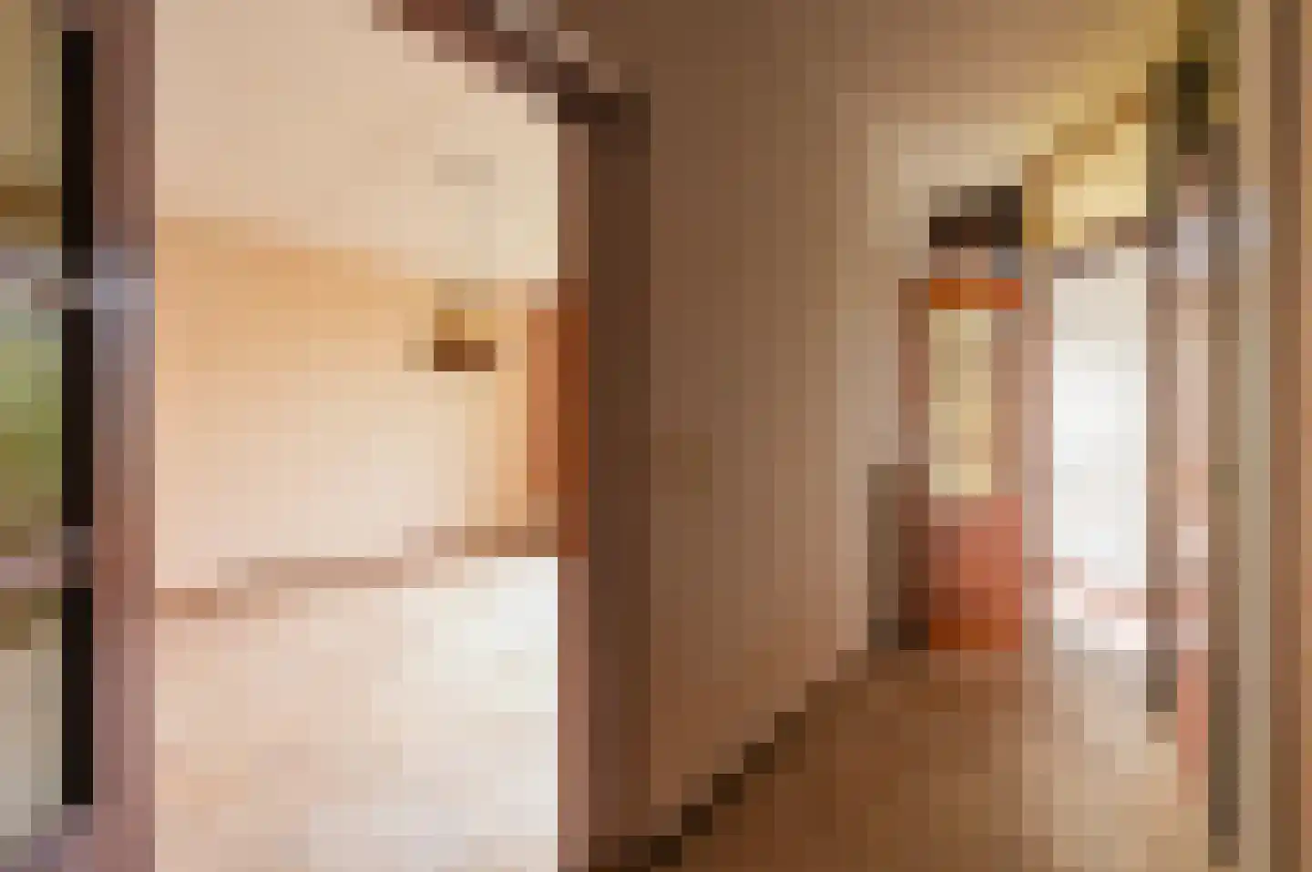 Brederode 94 Leidschendam thumbnail 7