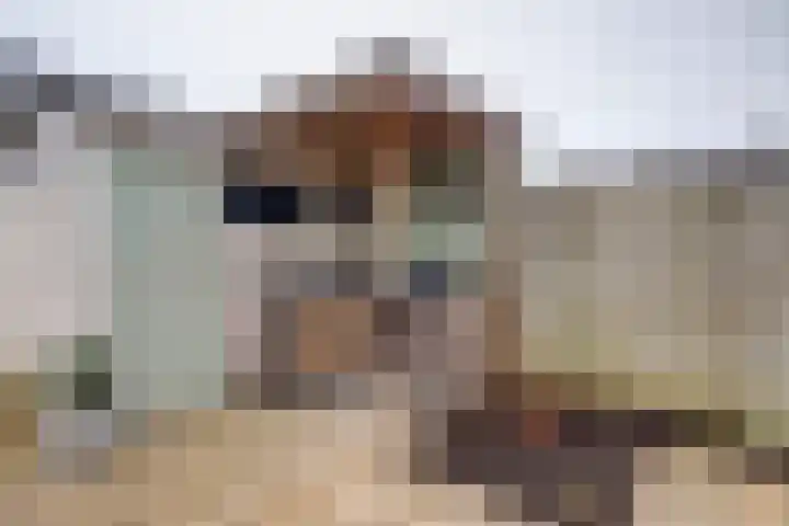 Brederodehof 2 Hendrik-Ido-Ambacht thumbnail 37