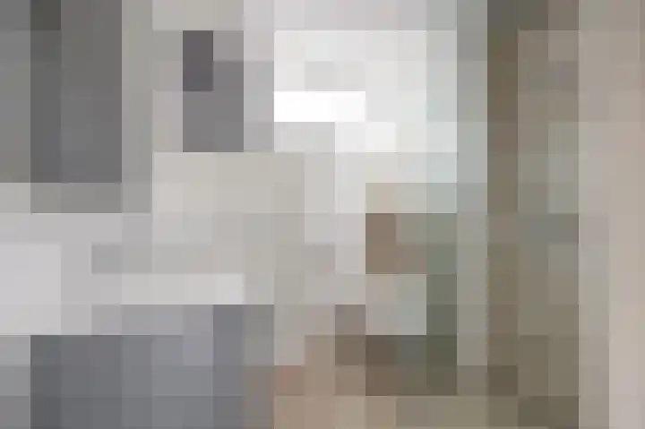 Brederodehof 2 Hendrik-Ido-Ambacht thumbnail 4