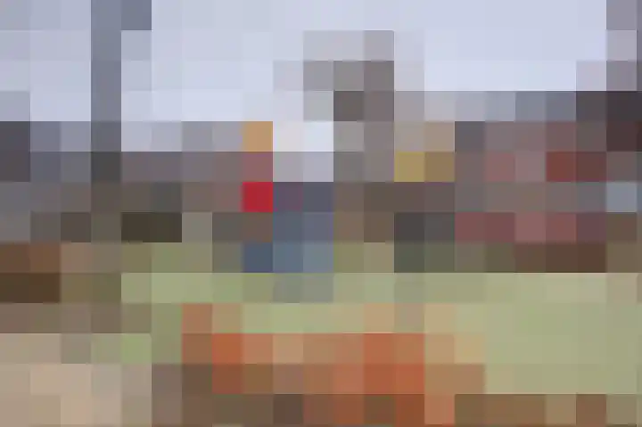 Brederodehof 2 Hendrik-Ido-Ambacht thumbnail 42