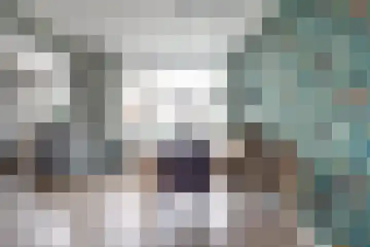 Brederodehof 2 Hendrik-Ido-Ambacht thumbnail 8