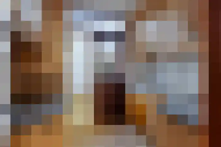 Brederodehof 30 Hendrik-Ido-Ambacht thumbnail 10