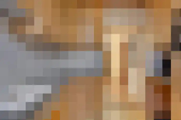 Brederodehof 30 Hendrik-Ido-Ambacht thumbnail 11
