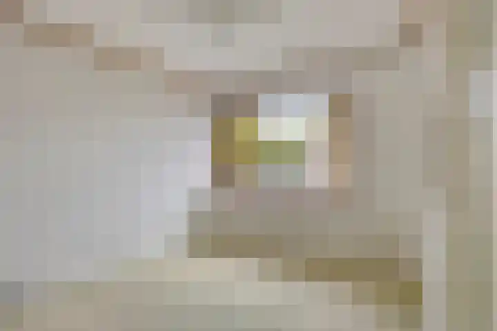 Brederodehof 30 Hendrik-Ido-Ambacht thumbnail 13