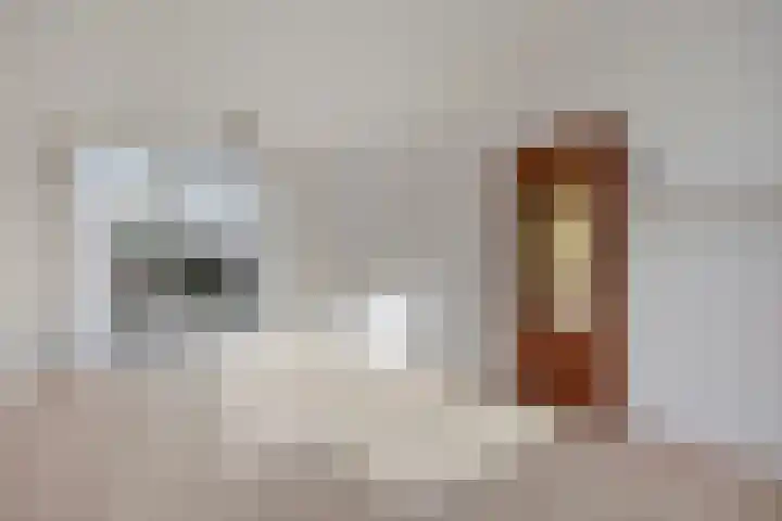 Brederodehof 30 Hendrik-Ido-Ambacht thumbnail 4