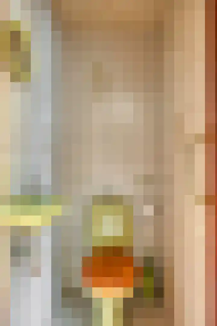 Brederodehof 30 Hendrik-Ido-Ambacht thumbnail 6